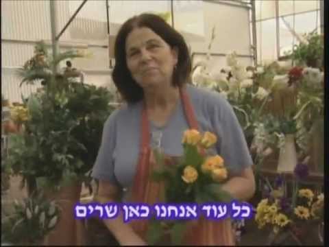 להקת חינוך- הכל פתוח.wmv