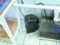 Vídeo de uma pequena loja,mas de alto nível técnico em Arujá São Paulo.Possuem peixes nacionais e importados,equipamentos,encomendas de produtos,acessórios,etc.Vasto know hall sobre reprodução em cativeiro,manutenção de espécies raras entre outras informações disponibilizadas.Acqua  pro Saga 