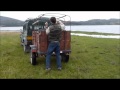 Flat Coated Retrievers and Golden Retrievers COLOMBIA