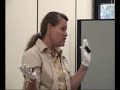 dharma webber,, director of indigo wings -- california native bat conservancy talks about  bats at a sacramento county library.
videographer, video editor, diana clarke, yourskinandsun.com