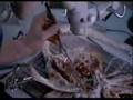 Manticora - Swarm Attack(Alien Cutscenes) 