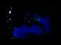 Amazon Rainforest - Brazilian Party