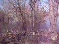 pierrefond-roxboro,Qc