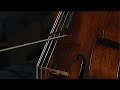Wolfgang Amadeus Mozart - Symphony Nº 40 (RV 550)