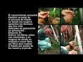 Tejedoras de vida por Colombia- San Agustín, Huila