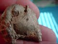 Mysterious Artifacts Discovered in West Virginia