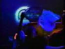 Blind Melon - Galaxie