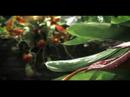 Quinns - Incredable 3D CGi
