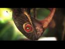 Quinns - Incredable 3D CGi Quinns - Incredable 3D CGi