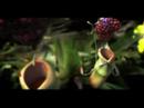 Quinns - Incredable 3D CGi