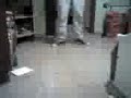 paso flogger