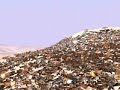 Tod in der Sahara Tod in der Sahara