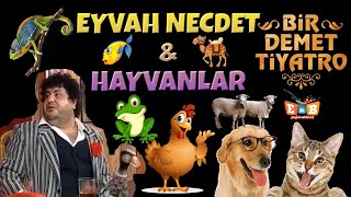 EYVAH NECDET & HAYVANLAR / Bir Demet Tiyatro