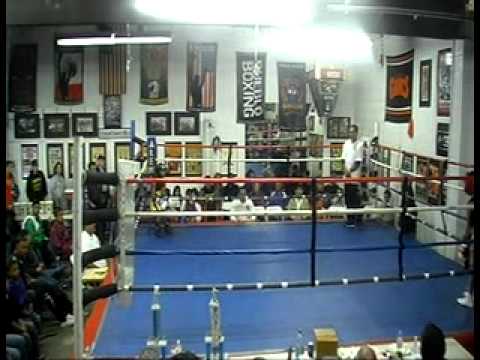 Boxer aleman