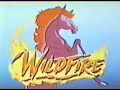 Fuego Salvaje