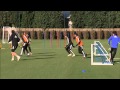 Chelsea FC - Blues news headlines