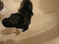 Afrik (viajar24h.com)