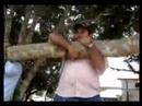 desafio conafor manuel desafio conafor manuel