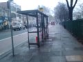 Snow in Chiswick