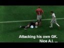 FIFA 09 GOALS & BUGs