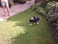 Tumble and Rascal