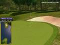 videos de Golden Tee Great Shot on Sunny Wood!