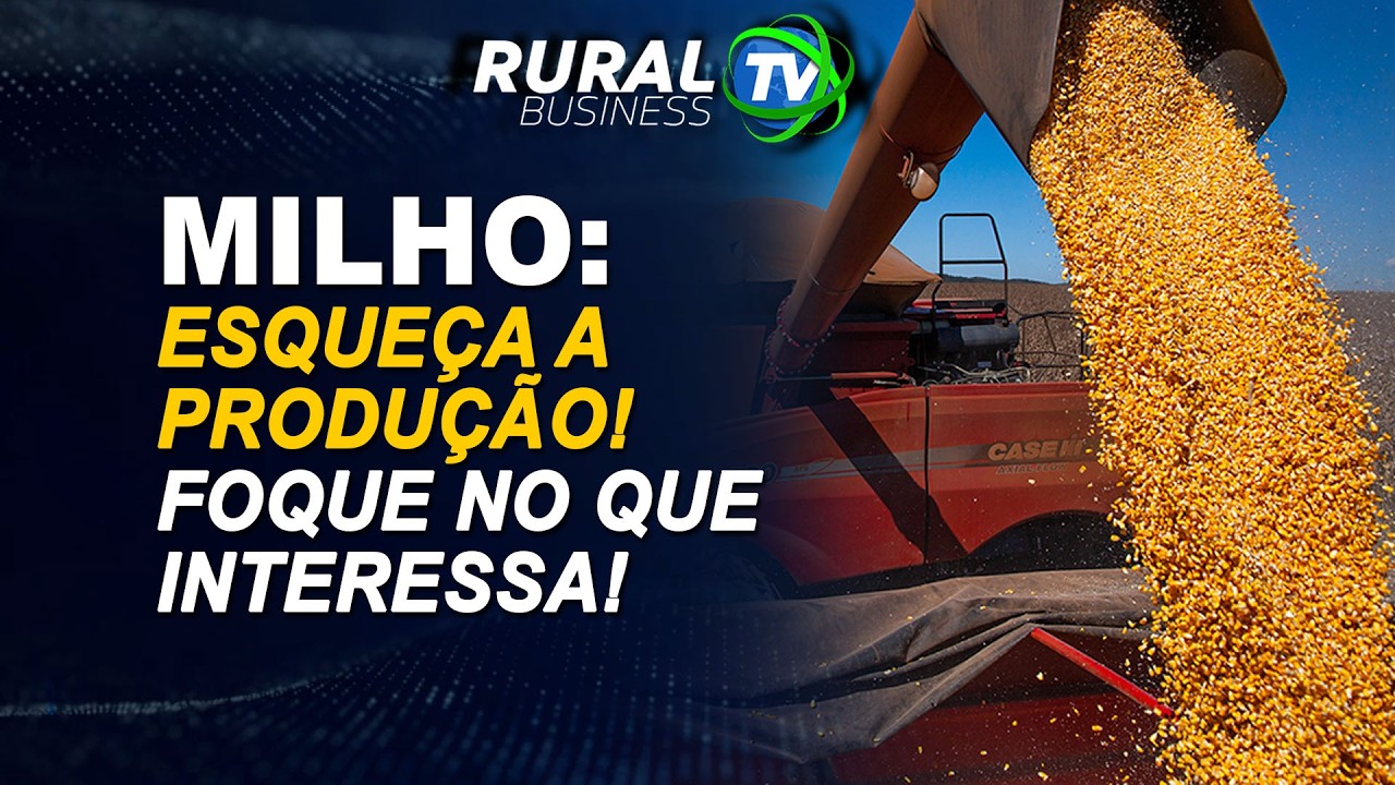 MILHO: ESQUEÇA A PRODUÇÃO! FOQUE NO QUE INTERESSA!