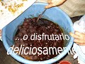 platillo típico: coyoles en miel
