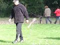 Vie for Vendetta gedragstest