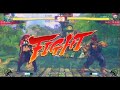 Street Fighter IV: C. Viper vs Akuma