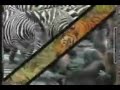 Discovery Channel Idents