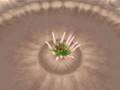 Spore- Sarlaac from Star Wars
