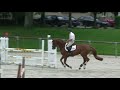 Quessel Tame
