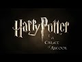 Harry Potter e il calice d'Alcool - A lezione...