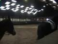 videos de Manege Nes, show Myrte met Vallie en Obelyn