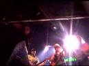 Ironweed at the Tsingtao Beer Festival