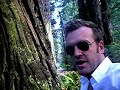 Irish Dumb & Dumber do the Giant Redwoods!
