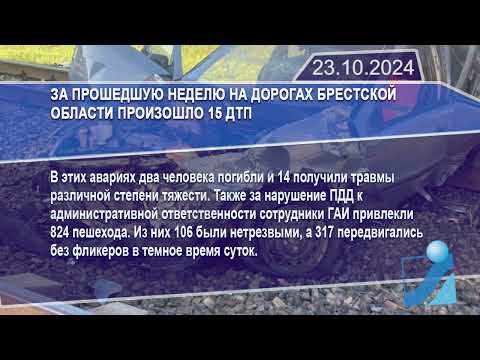 Новостная лента Телеканала Интекс 23.10.24.