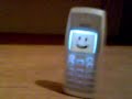 Dancing Nokia 1100 - Nokia 1100 bailantero