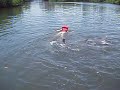 Swimming with the Dolphins in Cuba!
