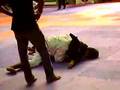 Foto v�deo