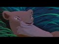 König Der Löwen - Kann es wirklich Liebe sein