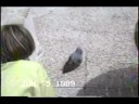1989 France Video 2