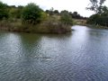 Jord Playing his First UK 20lb Carp