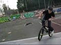bmx champs sur marne