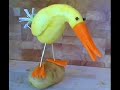 Squash-Bird