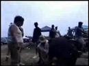 Mid Ohio Golf Cart Wreck