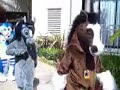 Califur III - Fursuit Parade Before, During, and After
