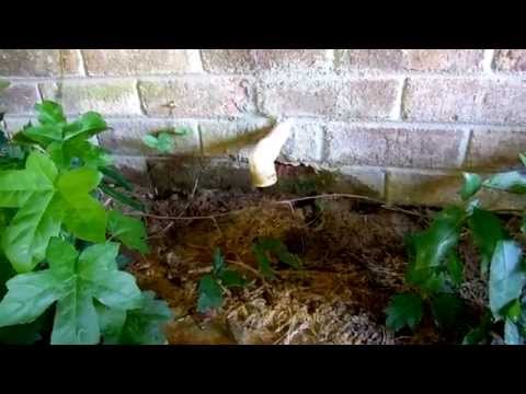 how to unclog air conditioner drain