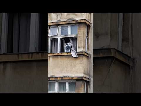 Jak wygląda upośledzenie umysłowe sebiksów na osiedlu